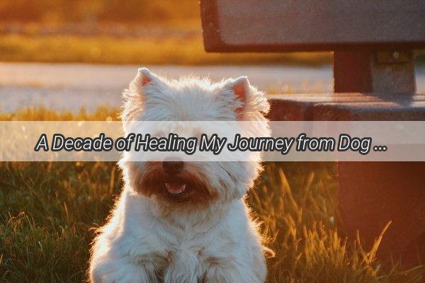 A Decade of Healing My Journey from Dog Bite Trauma to Resilience